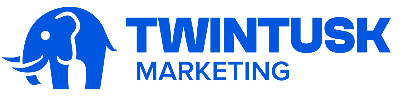 Consulting Twintusk Marketing